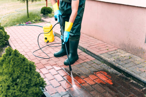 Animal Enclosure Cleaning in Mcewen, TN